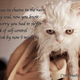 Image for article titled Robin Thicke's Paula Lyrics Are as Pathetic as a Soaking Wet Animal